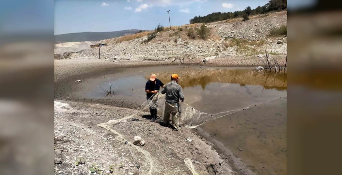 Soma'da kuruyan gölette balıklar kurtarıldı