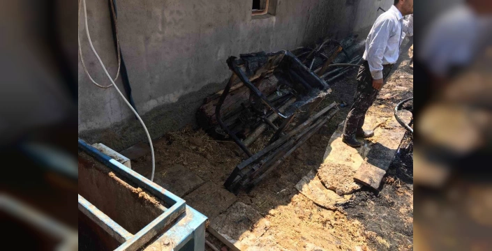 Sungurlu'da yangın: 550 balya ot kül oldu