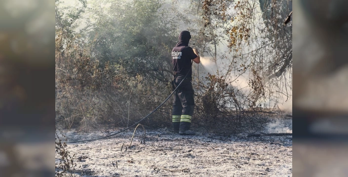 Tekirdağ'da orman yangını: Arı kovanları zarar gördü