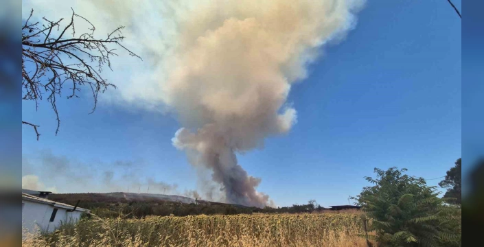 Tekirdağ'daki Orman Yangını: 34 Hava Aracıyla Müdahale Sürüyor