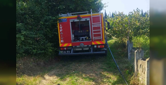 Ünye'de fındık bahçesinde yangın