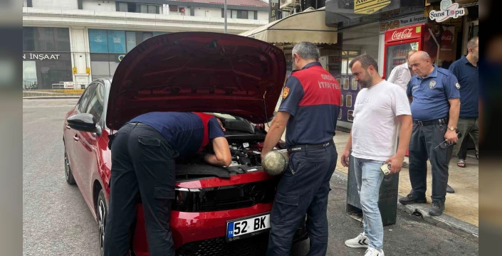 Ünye'de park halindeki araçta mahsur kalan yavru kedi kurtarıldı