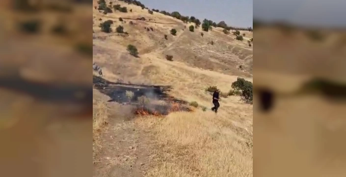 Adıyaman'da orman yangını: 50 dönüm kül oldu