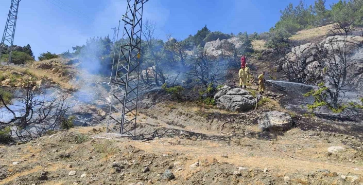 Adıyaman'da orman yangını: Alevler kısa sürede kontrol altına alındı