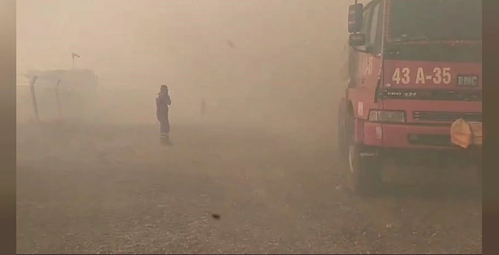 Aliağa'da yangın: Otluk ve makilik alan yanıyor