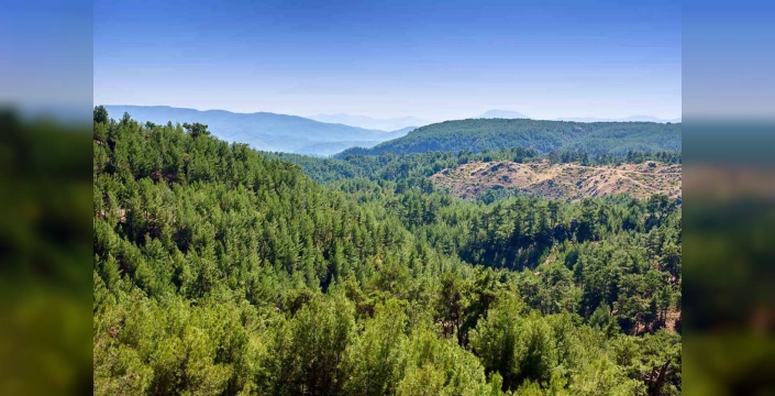 ALJ Türkiye: Her araç için 10 fidan: 1 milyon 400 bin fidan toprakla buluşacak