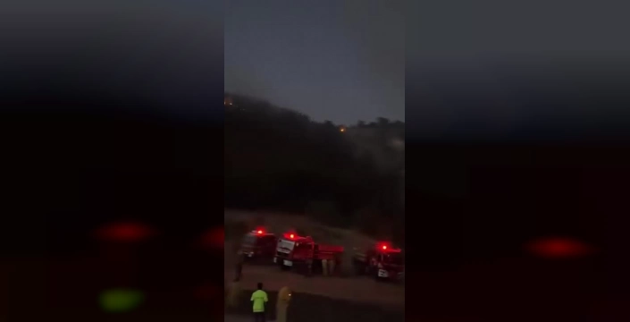 Amasya'da orman yangını: Kontrol altına alındı