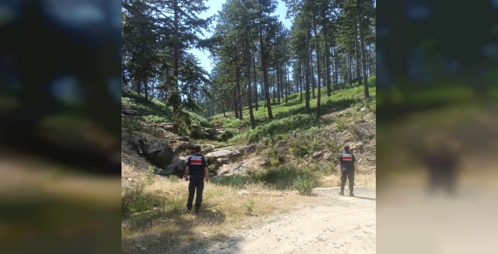 Aydın'da yangın riski zirvede: 44 derece sıcaklık bekleniyor