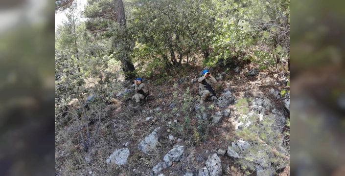 Balıkesir'de orman yangını denetimleri arttı