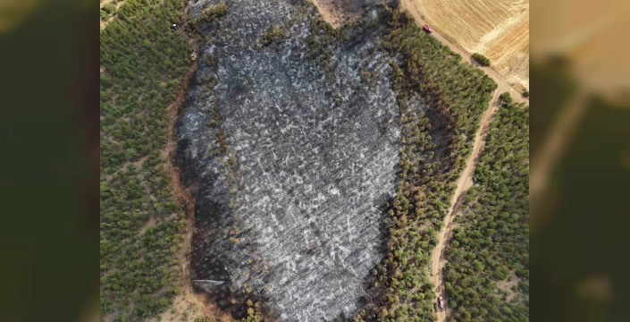 Banaz'da anız yangını söndürüldü