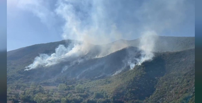 Bartın'da orman yangını: 2 helikopter ve 28 iş makinesiyle müdahale
