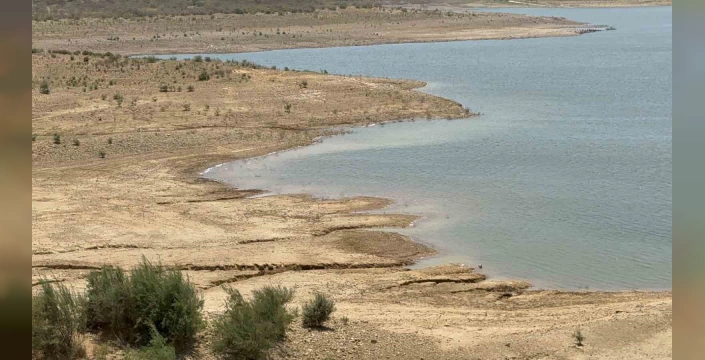 Bodrum'da su krizi: Barajlardaki doluluk oranları kritik seviyede