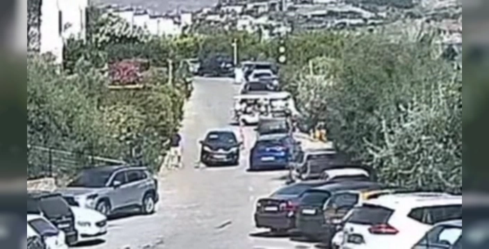 Bodrum'da trajik kaza: 'Çinko' isimli köpek hayatını kaybetti