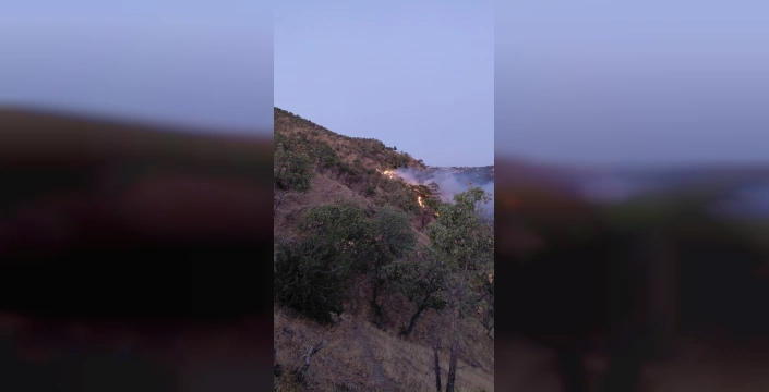 Buldan'da orman yangını