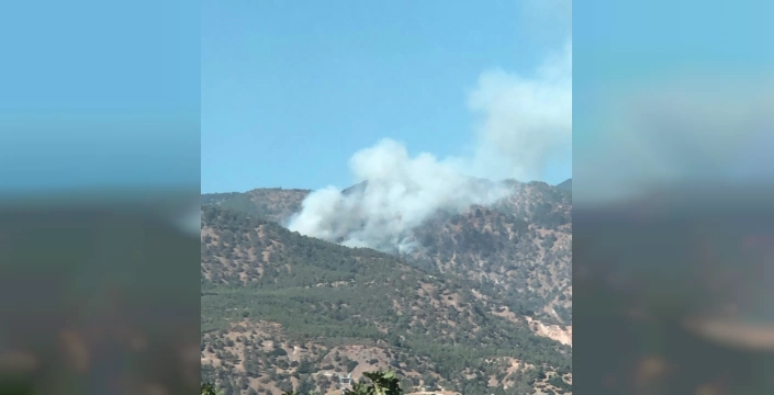 Buldan'da yangın yeniden başladı