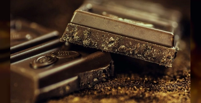 Çikolata kalitesi fermantasyonla belirleniyor