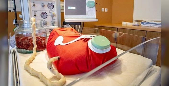 Çin'de Yapay Rahimli Robot: Etik Tartışmaları Alevlendirdi