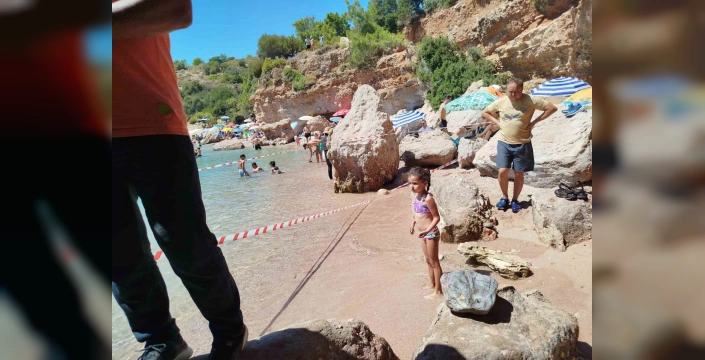 Datça'da sahile çıkan Akdeniz foku koruma altına alındı