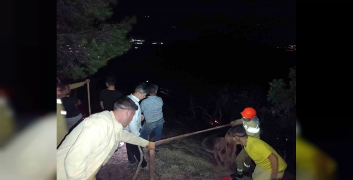 Denizli ve Aydın'da orman yangını kontrol altına alındı