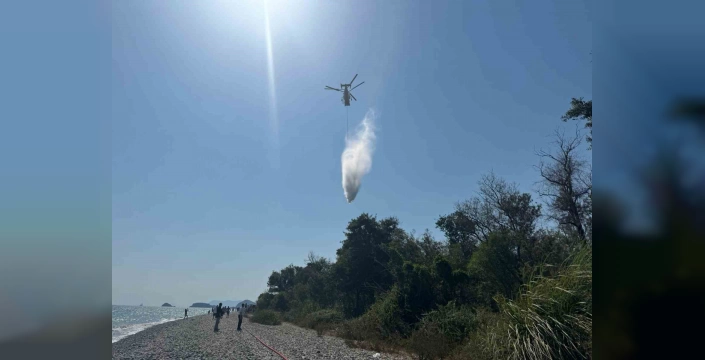 Fethiye'de orman yangını kontrol altına alındı