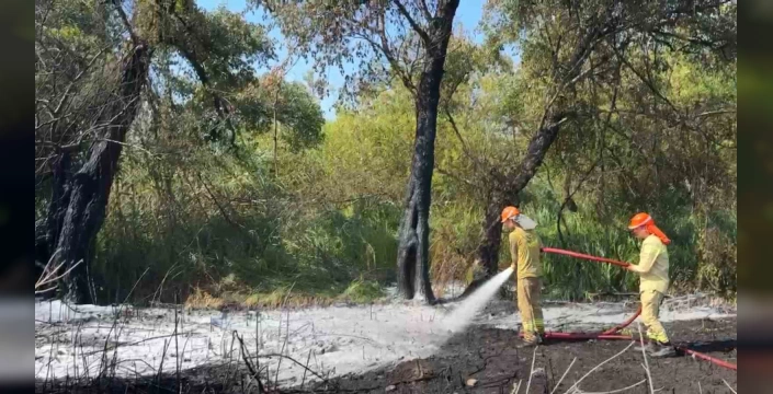 Fethiye'de orman yangını: Vatandaşlar söndürme çalışmalarına destek verdi