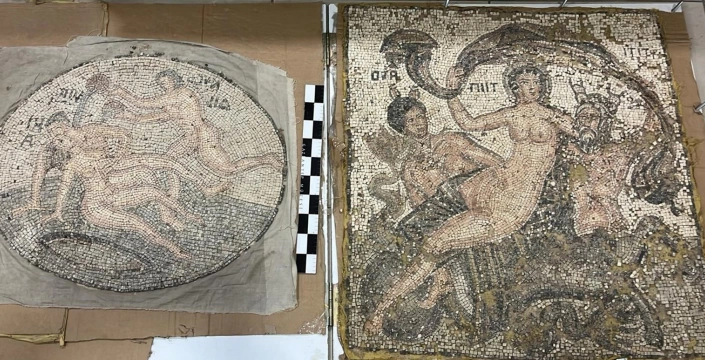 Gaziantep'te tarihi mozaik operasyonu: 3 şüpheli yakalandı