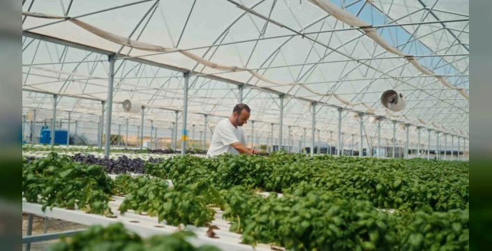 Getir, İstanbul'da Kent Tarımını Destekliyor: 24 Saatte Tarladan Sofraya