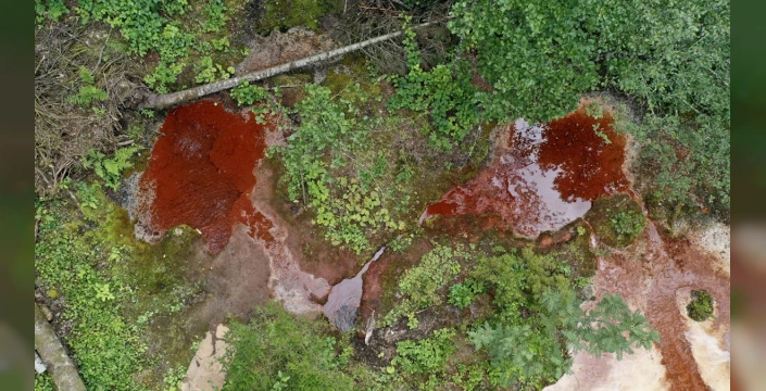 Giresun'daki Kuzalan Tabiat Parkı: Kızıl su ve travertenlerle doğa harikası