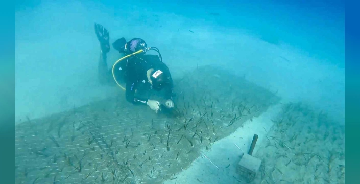 Göcek'te 2 bin yıllık deniz çayırı keşfedildi