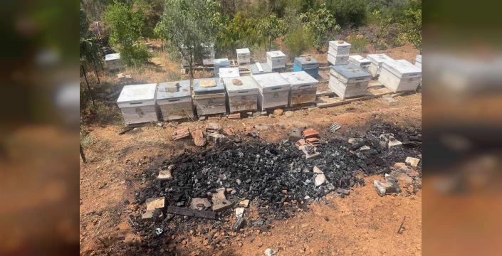 Gürsu'da yangın felaketi: 300'e yakın arı kovanı kül oldu