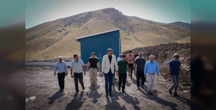 Hakkâri'de sokak hayvanları için yeni yaşam alanları