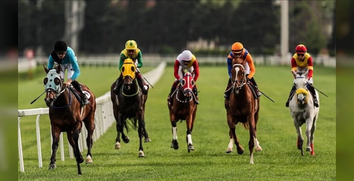 İngiltere'de at yarışı grevi: Vergi artışına karşı 10 Eylül'de boykot