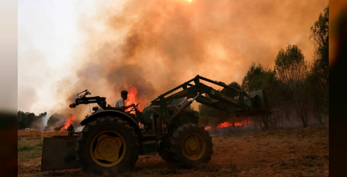 İspanya ve Portekiz'de büyük yangın felaketi: Avrupa Sivil Koruma Mekanizması devrede