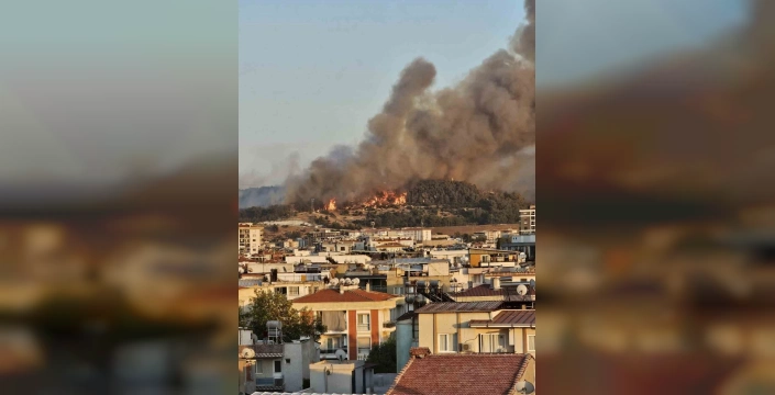 İzmir'in Buca ilçesinde orman yangını: Havadan ve karadan müdahale sürüyor