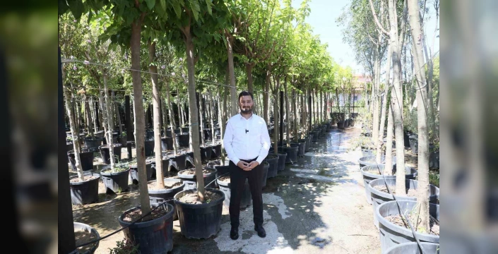 Kağıthane'ye 1 milyon metrekare yeşil alan kazandırıldı