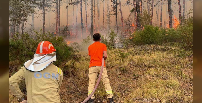 Karabük'te orman yangını sürüyor