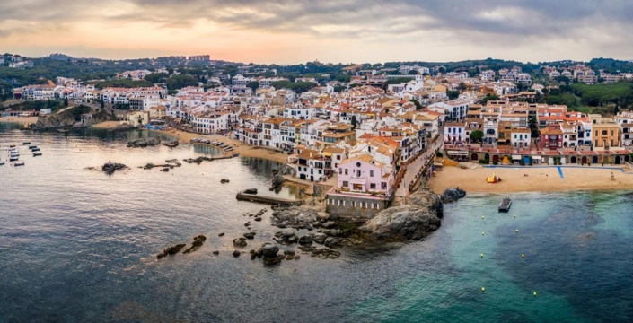 Katalonya'da hayvan saldırıları uyarısı: Kuduz riski artıyor