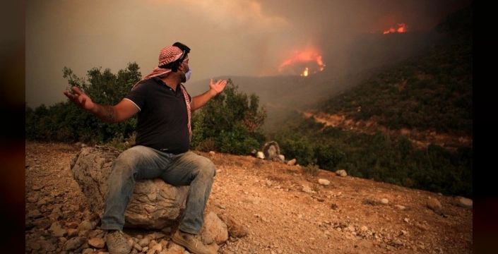 Lazkiye'de orman yangınları: Yüzde 80'i kontrol altında