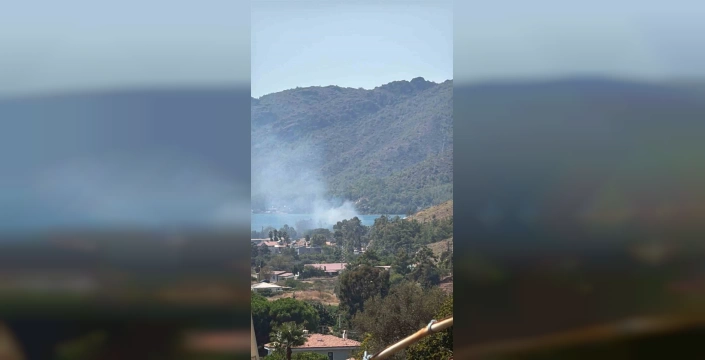 Marmaris'te zirai alan yangını kontrol altına alındı