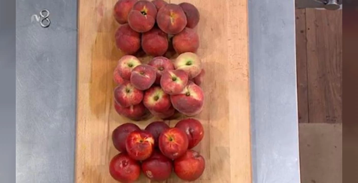 Masterchef'te eleme heyecanı: Danilo Şef'in tabağı belirleyici oldu
