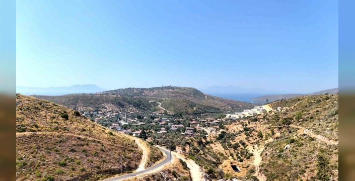 Milas'ta 2021 Yangınından Sonra Yeniden Yeşillenme