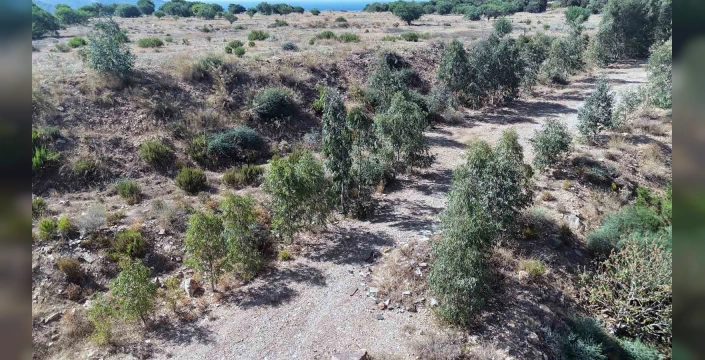 Muğla'da 330 bin metrekarelik vahşi depolama alanı doğaya kazandırıldı