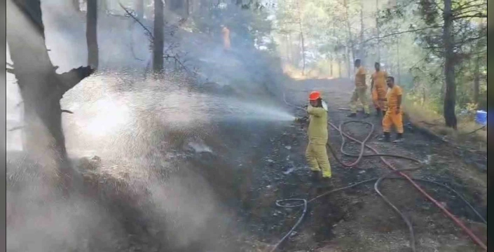 Ortaca'da araç yangını: Ormana sıçrayan alevler söndürüldü
