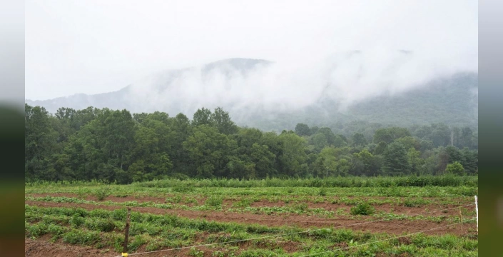 Polonya'da gizemli cisim düştü: Ukrayna sınırına 100 kilometre uzaklıkta patlama