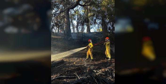 Seydikemer'de orman yangını söndürüldü