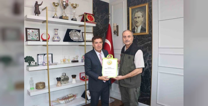 Seyitgazi'nde yanan ormanlar yeniden ağaçlandırılacak