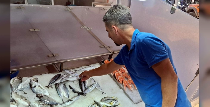 Sinop'ta palamut fiyatları 350 lira: Balıkçılar umutsuz değil