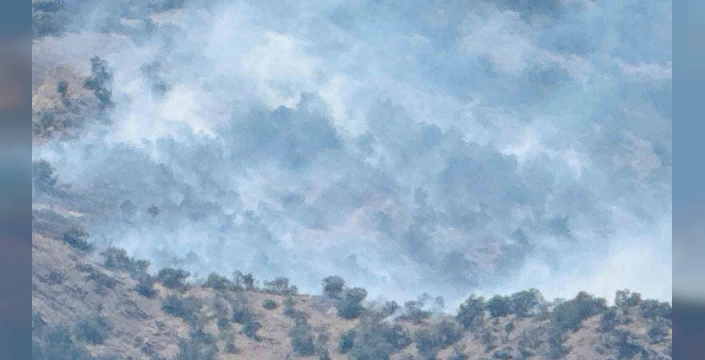 Şırnak'ta orman yangını kontrol altına alındı