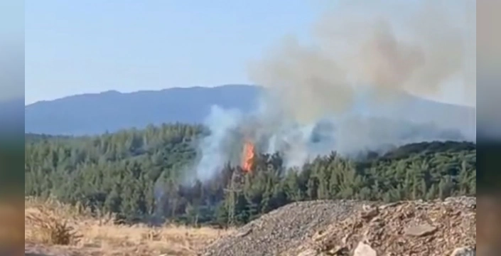 Tavas'ta orman yangını: Kundaklama tespit edildi