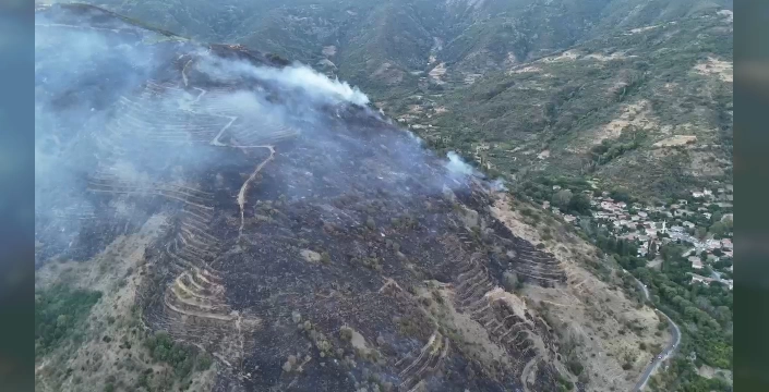 Tekirdağ'ın Şarköy ilçesindeki orman yangını kontrol altında